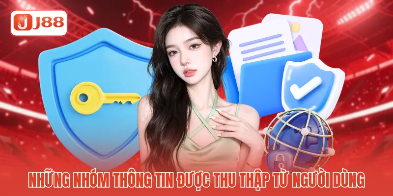 Những nhóm thông tin được thu thập từ người dùng 